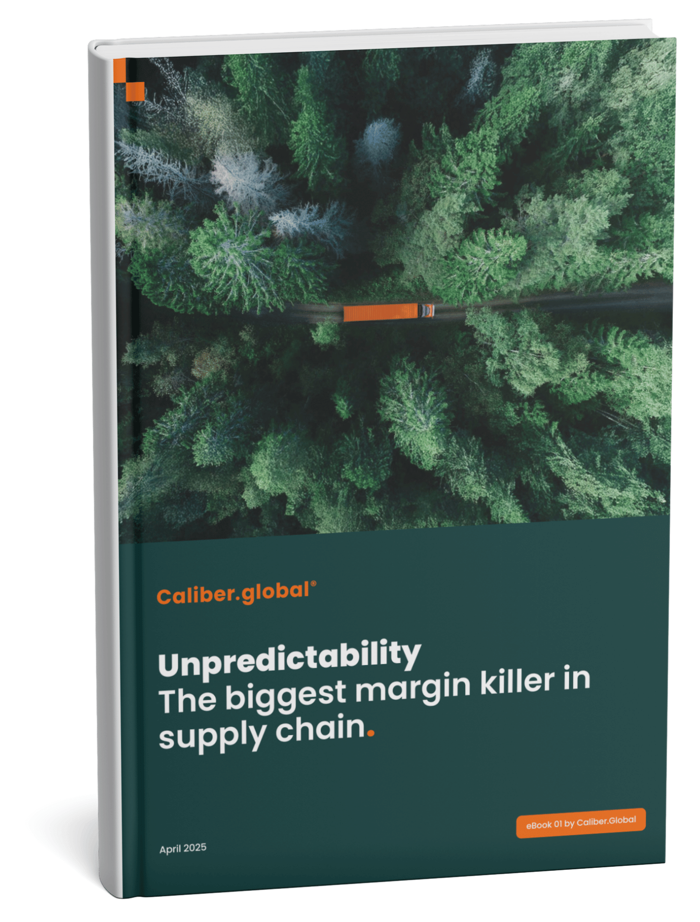 Mockup_eBook_Unpredictability-1